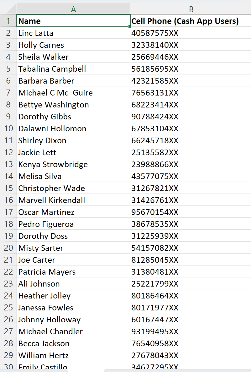 10K Cash App Users Cell Phone Database (2026) - Image 2